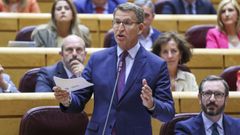 El presidente del PP, Alberto N��ez Feijoo, este martes, en la sesi�n de control al Gobierno en el Senado