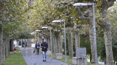 L�mparas inteligentes que miden la poluci�n ambiental colocadas en el Campus de Ourense