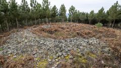 El yacimiento arqueol�gico de A Muradella consiste en un gran c�mulo de piedras de forma circular situado en el monte Moncai, en el l�mite entre los municipios de A Pobra do Broll�n y Monforte