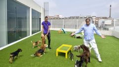As� es�Montegatto Urban, guarder�a canina y felina en A Coru�a