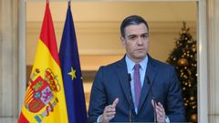 El presidente del Gobierno, Pedro S�nchez, este viernes durante una declaraci�n institucional, en el Palacio de la Moncloa.