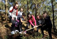 Un grupo de escolares participa con su profesor en la plantaci�n de pinos.