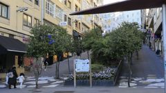 Hay quien dice que se le llama la cuesta de La Camelia a Santo Domingo da Calzada porque antes de urbanizar la zona all� hab�a una finca con camelias. Un estudioso de la historia local como Palet� afirma que aquello era un monte y su nombre se lo debe al edificio que hace esquina con Montero R�os, el de la librer�a Follas Novas.