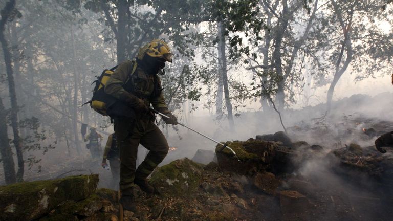 Un bombero forestal trabajando en la extincin  del incendio del pasado septiembre en el can del Cabe