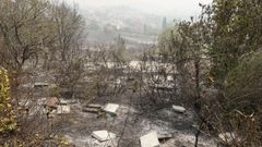 Un bombero forestal graba en primera persona la difcil lucha contra los incendios que sufre Ourense