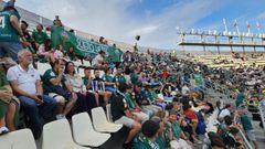 Marea verde en Tenerife