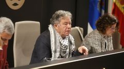 El alcalde de Pontevedra, Miguel Anxo Fernndez Lores, envuelto en la paoleta palestina.