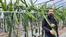 Jorge Carballeira en la plantacin. En la imagen con una fruta que es roja por dentro