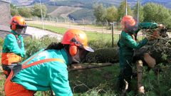La escuela cuenta con una finca de 75 hect�reas donde realizan pr�cticas en materia forestal y utilizaci�n de maquinaria