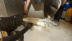Durante la �ltima negocici�n de contratos, algunos ganaderos se vieron obligados a tirar su leche