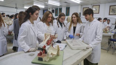 Facultad de Medicina de Santiago, foto de archivo