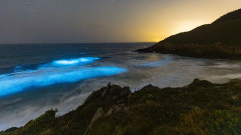 As� se iluminaba el mar en la madrugada del lunes al martes en la playa malpic� de San Miro. 