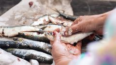 Imagen de archivo de una pescadera limpiando pescado azul