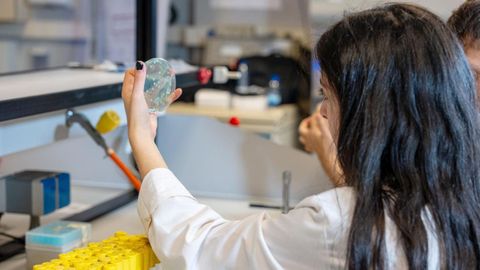 Laboratorios del campus ourensano
