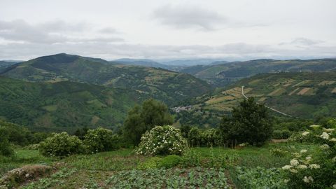  Vistas desde O Cebreiro