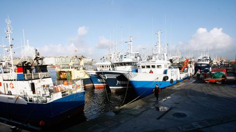 BARCOS AMARRADOS EN EL PUERTO DE A CORU�A 