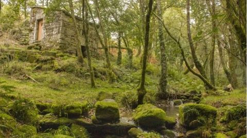 Pasos y molino de A Pereiria, en Covelo