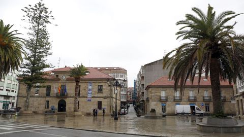 EN LA PLAZA DEL CONCELLO DE CAMBADOS YA SE TALARON DOS PALMERAS