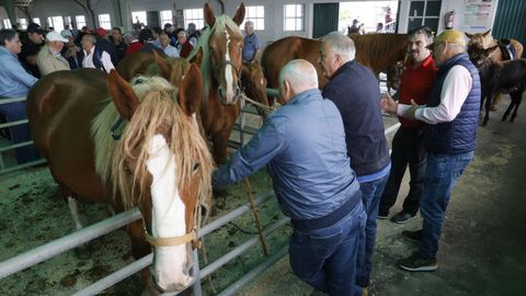 Feira do cabalo en Castro de Ribeiras de Lea.