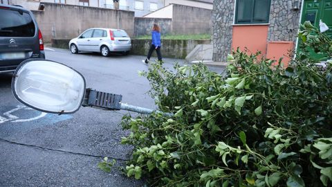 En Cambados el viento derrib� una farola