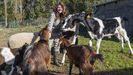 Mara Collazo dirige en A Laracha un santuario para animales de granja