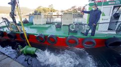 Pruebas en el puerto de Campelo, en Poio, del equipo para succionar algas