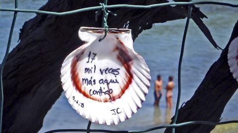 Playa de Aguete. Conchas de zamburias con inscripciones de loe turistas en O Rincn de Poty