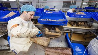 Elaboraci�n de conservas en Calvo, ahora Nauterra 