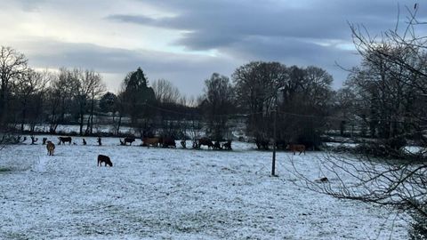 En Os Vilares (Guitiriz) se ve�a esta ma�ana una ligera nevada