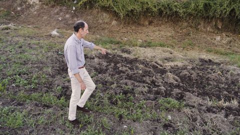 Jess Couceiro muestra los daos ocasionados por los jabales en Covadonga.