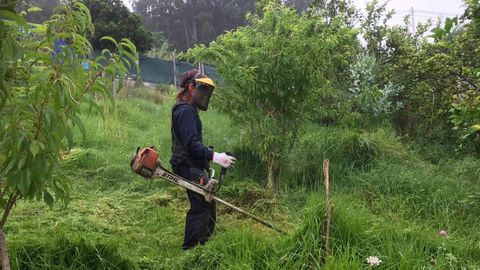 Una persona desbrozando una finca, en una foto de archivo