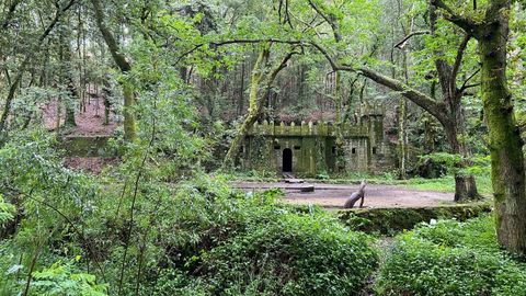 El bosque encantado de Cangas