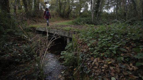 As� es el Cami�o Primitivo a su paso por el municipio de Lugo