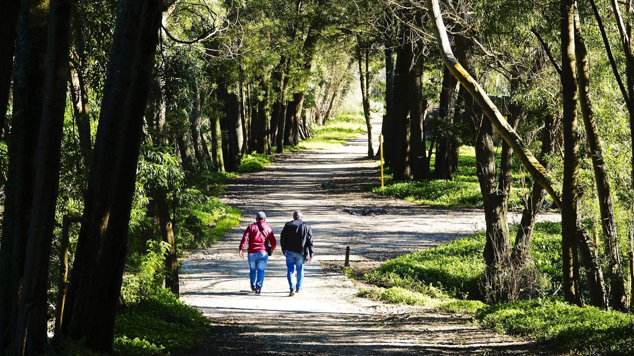 Un corredor para unir los parques de Vigo
