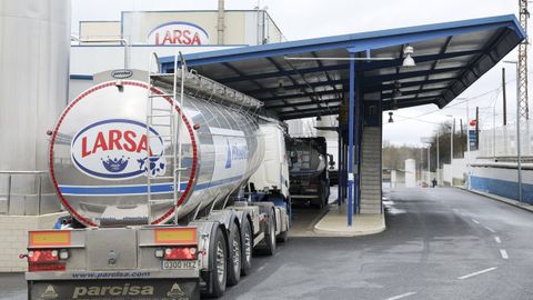 Larsa pertenece a Capsa