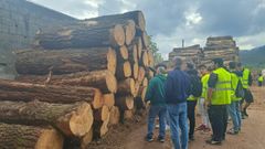 Alumnos de Ferrolterra visitan empresas asociadas al Cl�ster da Madeira e o Dese�o de Galicia
