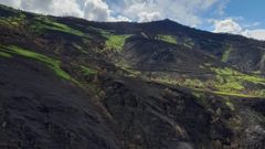 Praderas en la zona que fue arrasada por los incendios de julio en Folgoso do Courel.