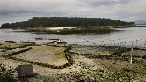 A los pies de Carril se encuentra Cortegada, casi en plena desembocadura del Ulla. Esta isla, junto a S�lvora, Ons y C�es, forma parte del Parque Nacional das Illas Atl�nticas. Entre la multitud de �rboles que la pueblan se encuentra una peque�a capilla.