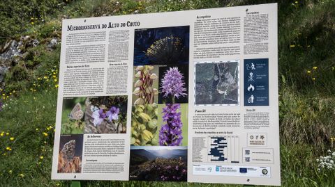 Un panel informativo en la microrreserva del Alto do Couto