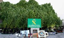 Imagen de las plantas y los �tiles de cultivo facilitada por la Guardia Civil.
