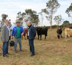 Tour�s, Amor�n y Canda en la visita a la granja. 