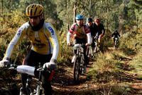 Imagen de varios participantes durante una edici�n anterior de la Pedalada �rtabra.