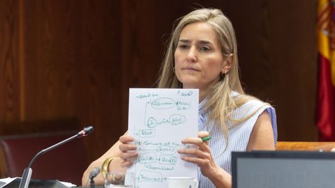 La vicepresidenta tercera del Gobierno y Ministra de Transici�n Ecol�gica, Sara Aagesen, comparece ante la comisi�n de investigaci�n de las deficiencias y presuntas irregularidades en la gesti�n de la Sociedad Estatal de Participaciones Industriales (SEPI), en el Senado.