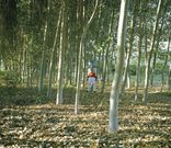 Una de las im�genes de Germade incluidas en la exposici�n.