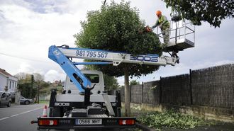 poda.Un operario poda un rbol en la calle do Ro, en Oleiros
