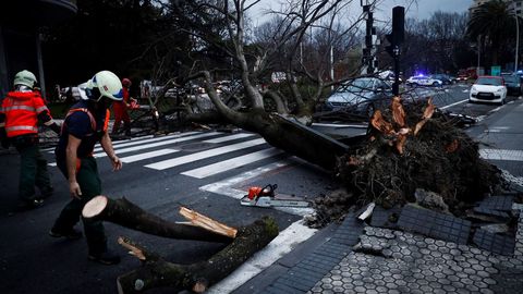 Varios bomberos trabajan en la retirada de un rbol cado a causa del viento en San Sebastin