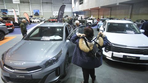 H�bridos, familiares y deportivos compon�an la selecci�n.