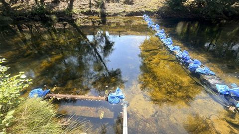 Barrera de casos con tierra para remansar el r�o Verdugo y mantenerle un m�nimo de altura para evitar que la captaci�n de emergencia quede al aire