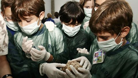 Taller de neurociencia en un colegio corus