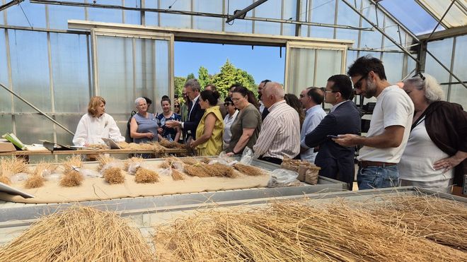 El presidente de la Xunta, Alfonso Rueda, visita las instalaciones del CEFA de Gu�samo donde este mi�rcoles se present� la Iniciativa Galega polo Li�o